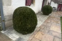 WhatsApp-Image-2026-02-18-at-13.40.52