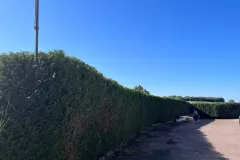 485173383_674872178460725_6860512456980240255_n