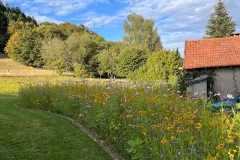 487241723_681377651143511_7647627096684779702_n