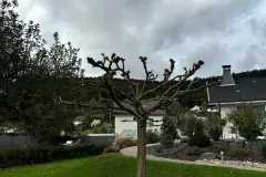 487454547_681024814512128_9009547926255491735_n