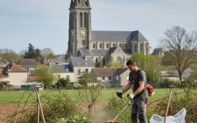 Défrichage terrain à Vesoul : le guide pratique pour un extérieur prêt à aménager