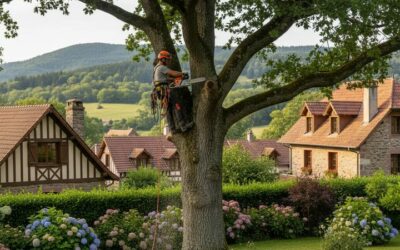 Élagage arbre à Val-d’Ajol : guide prévention et bonnes pratiques locales à val-d’ajol